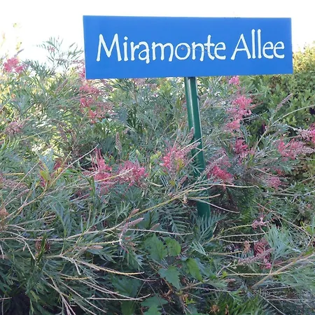 Miramonte By Interhome Vakantiehuis