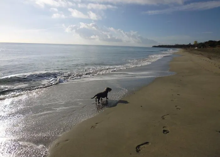 Miramonte By Interhome Vakantiehuis *