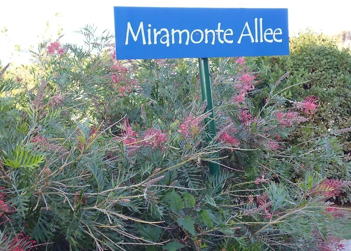 Miramonte By Interhome Holiday home